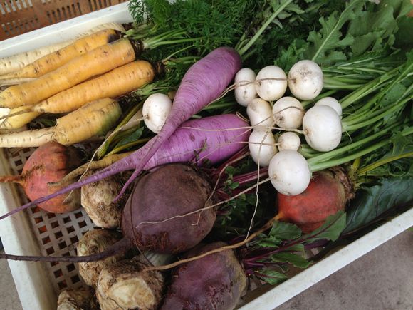 十和田の野菜 / Fujimori Farm